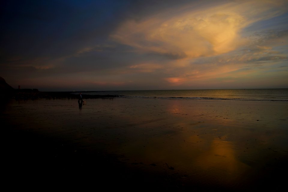 Walking a dog at sunset in Folkestone