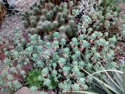 Botanical Garden