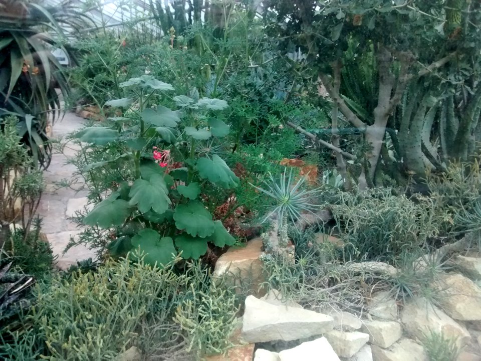Botanical Garden