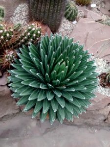 Botanical Garden