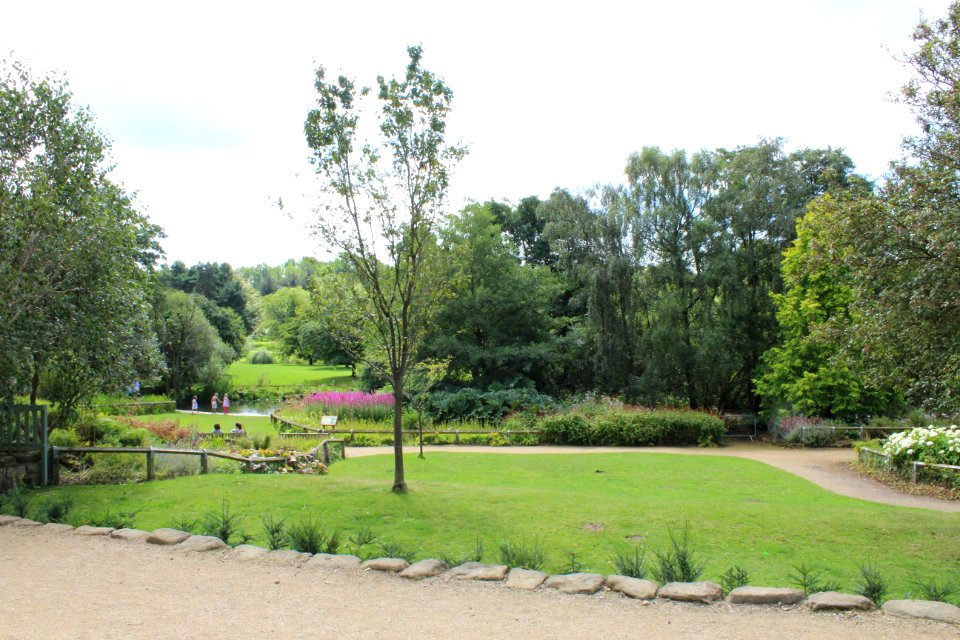 Golden Acre Park - Leeds