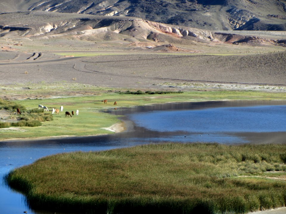 Lake, Andes, Peru