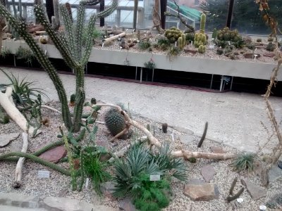 Botanical Garden