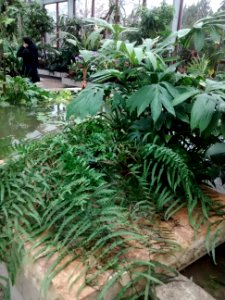 Botanical Garden