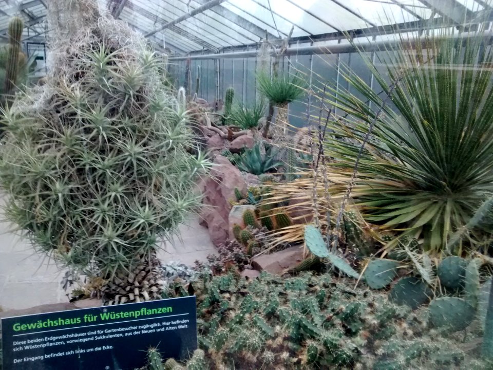 Botanical Garden