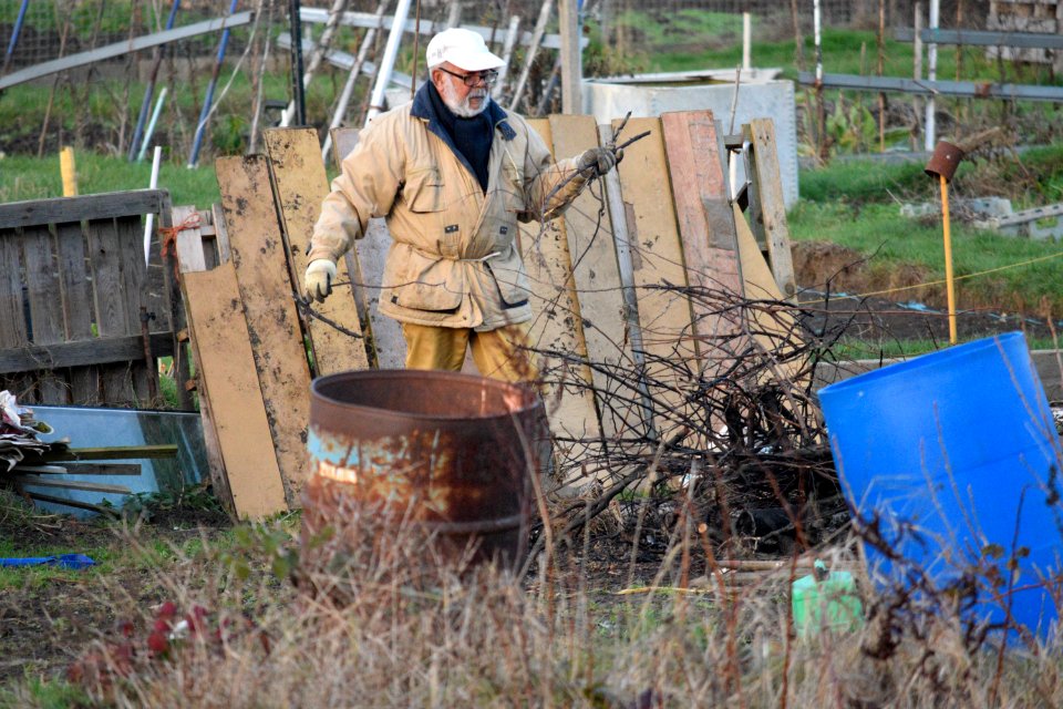 Winter in the allotment