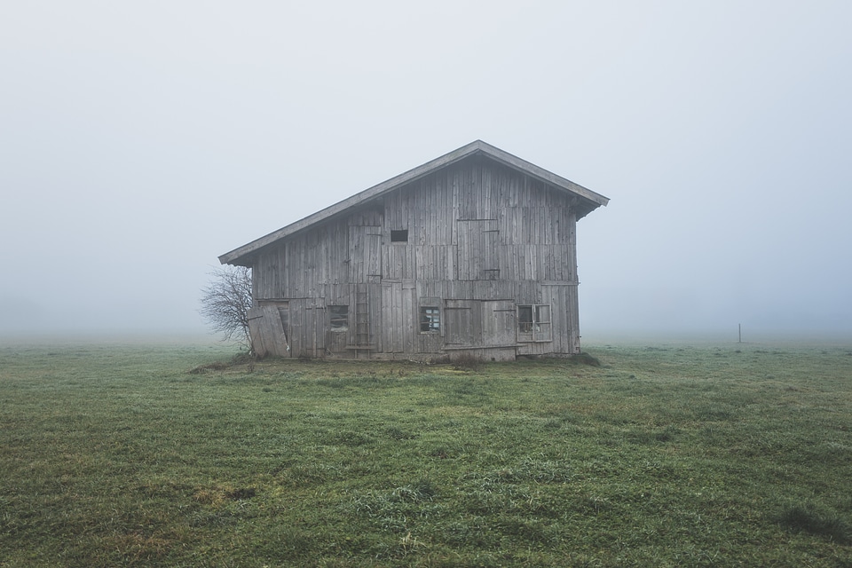 Farm rural landscape