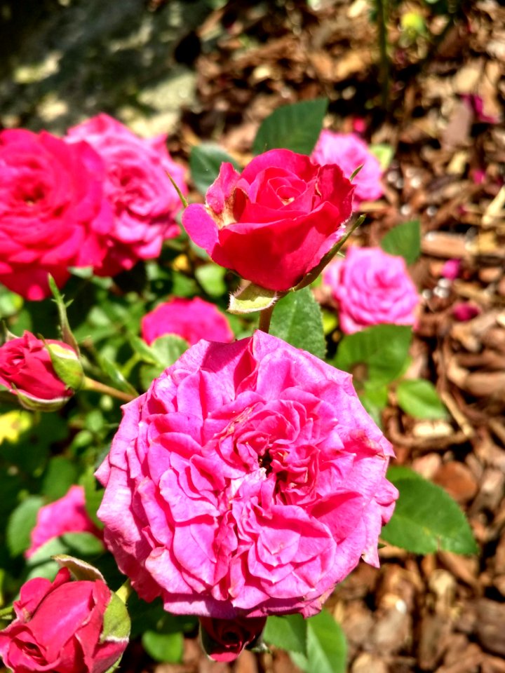 IMG 20180725 150834 HDR