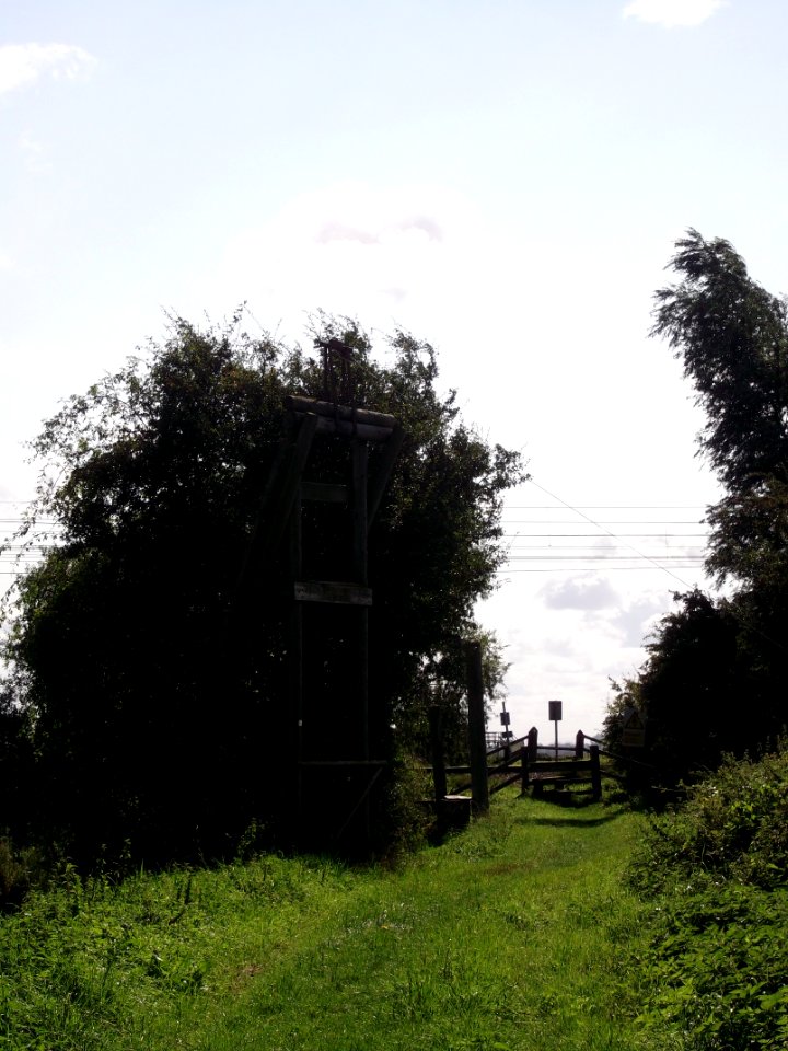 Ely Fen 2