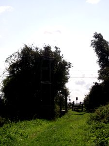 Ely Fen 2