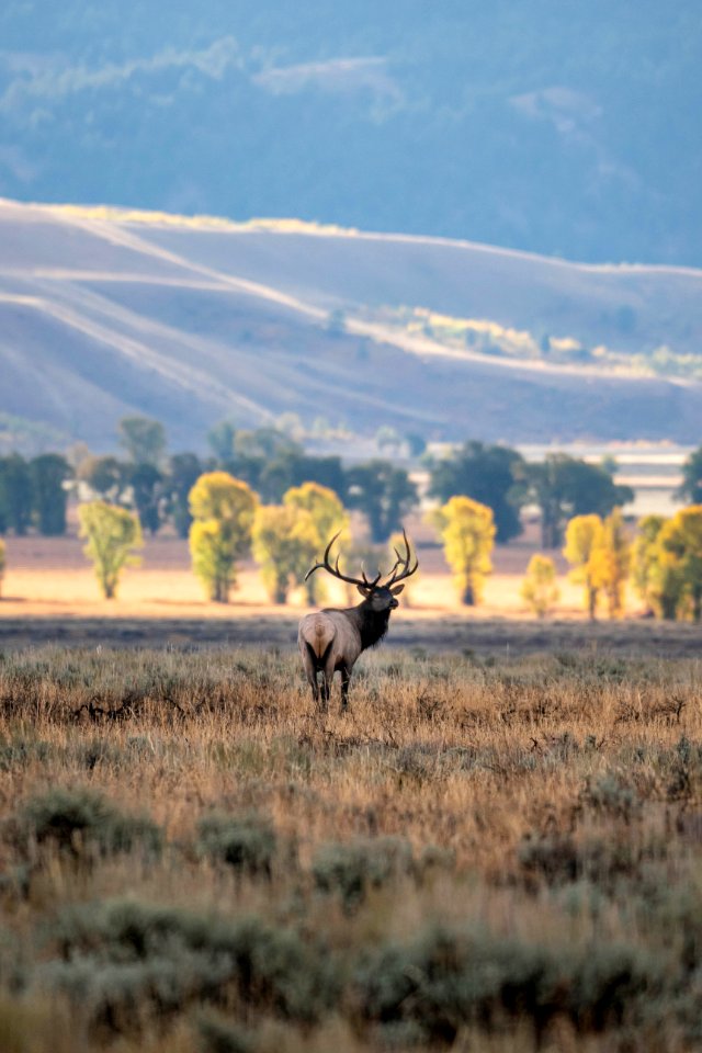 NPS-GRTE-20190927-004.jpg