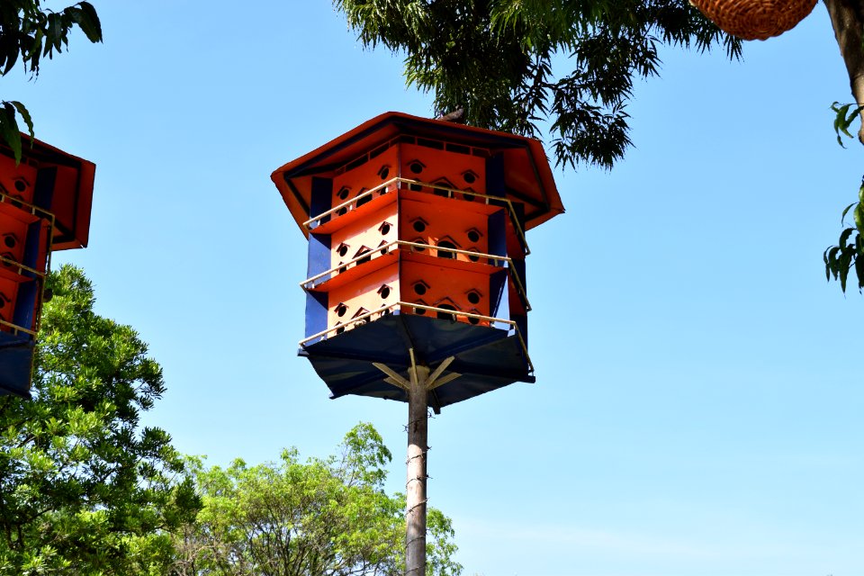 Alun Alun Kota Malang