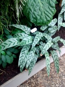 Botanical Garden