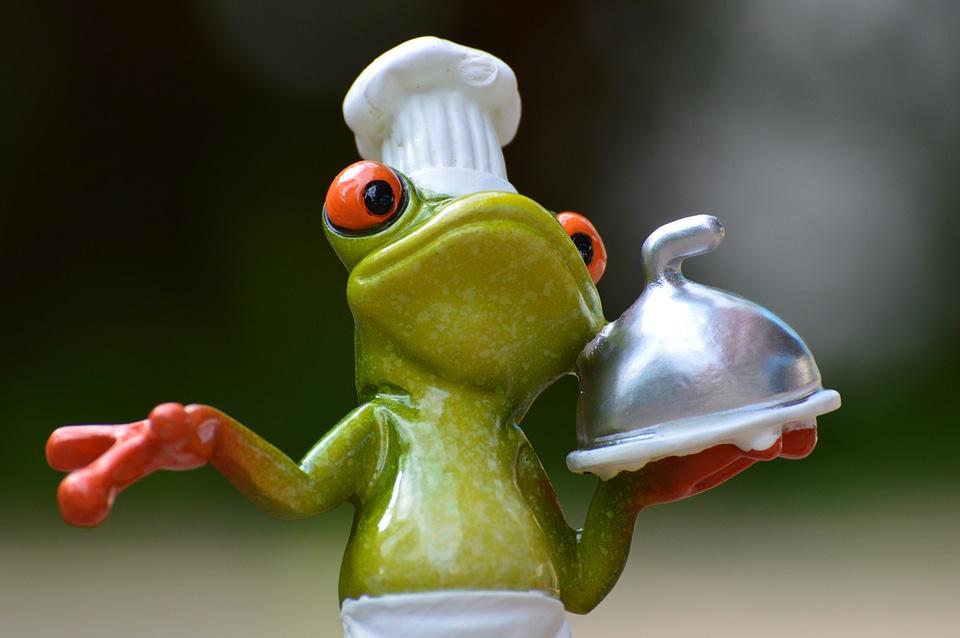 Kitchen gourmet food