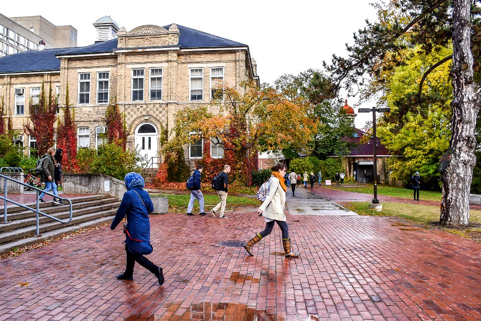 Day Hall and Winegard Walk
