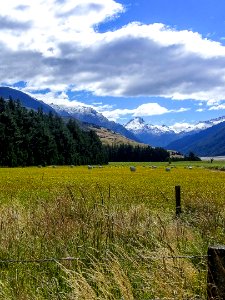 Mount Aspiring National Park