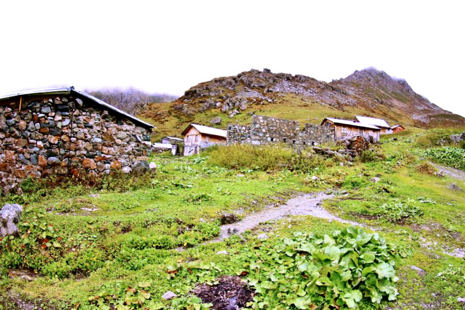 Ambarlı Yaylası Rize