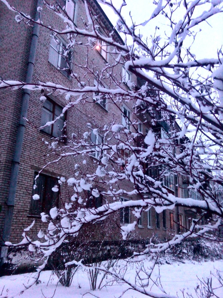 2017 01 04 05 so much snow