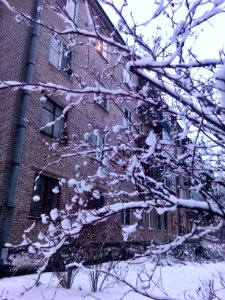 2017 01 04 05 so much snow