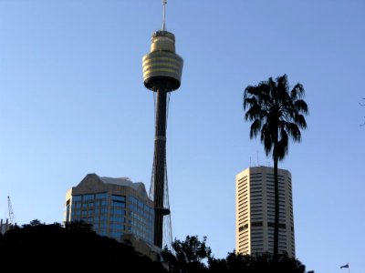 P9117447