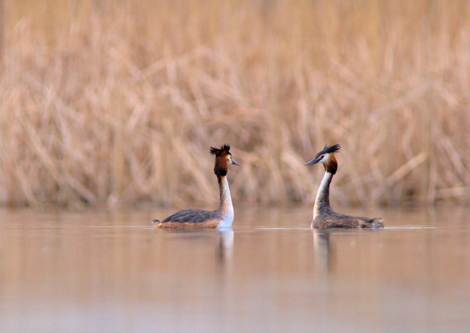  MG 7779-crop filtered