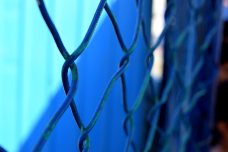 Blue Wireframe photo