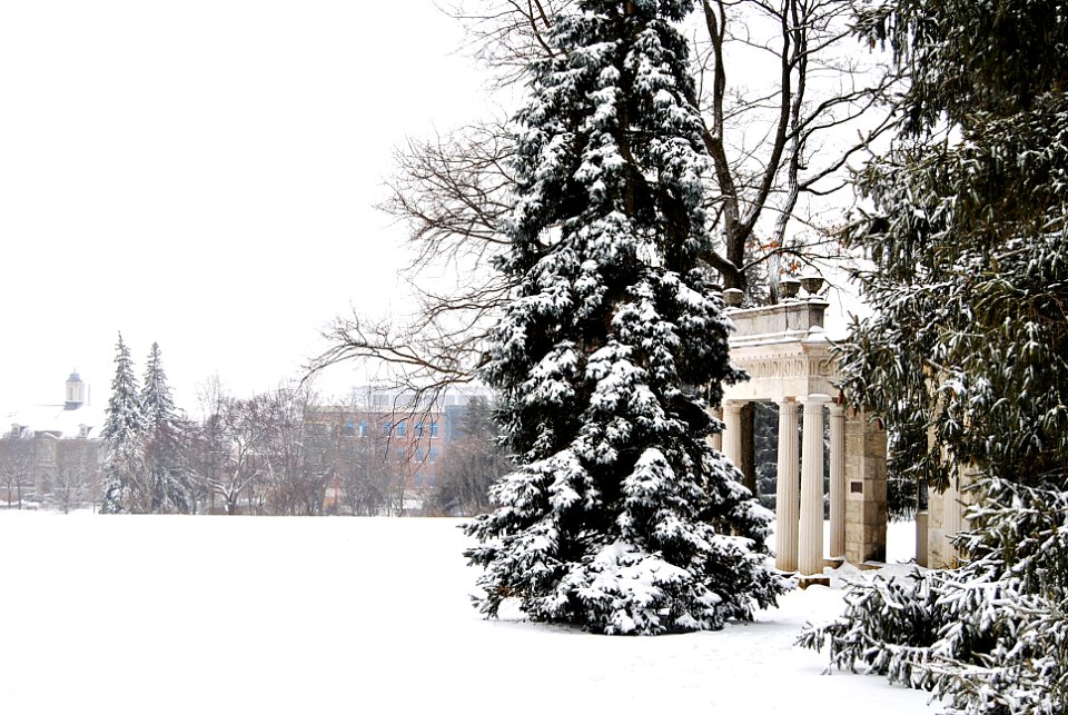 Winter - The Portico