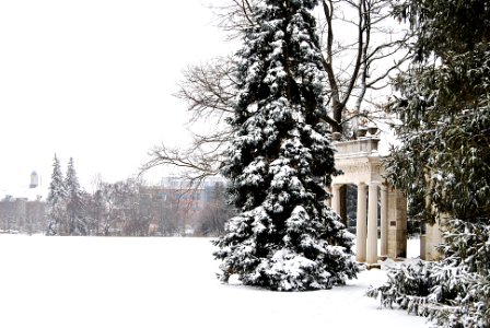 Winter - The Portico