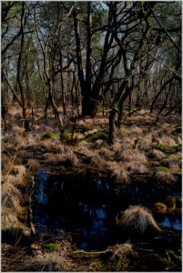 2019-2020-2021 Paysages-039-20210308