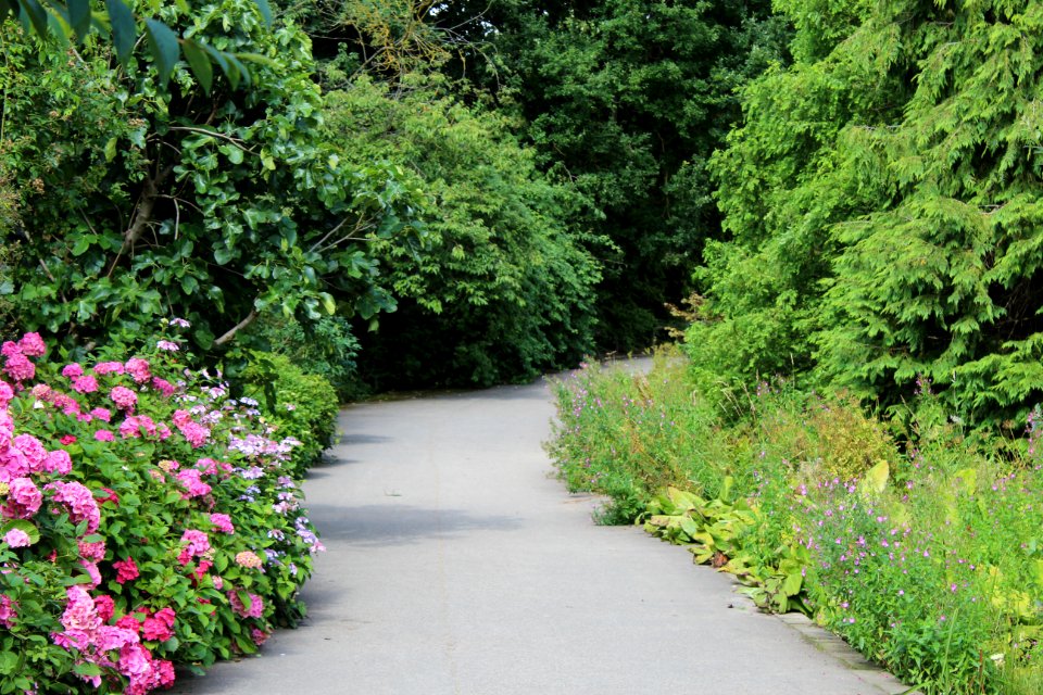 Golden Acre Park - Leeds