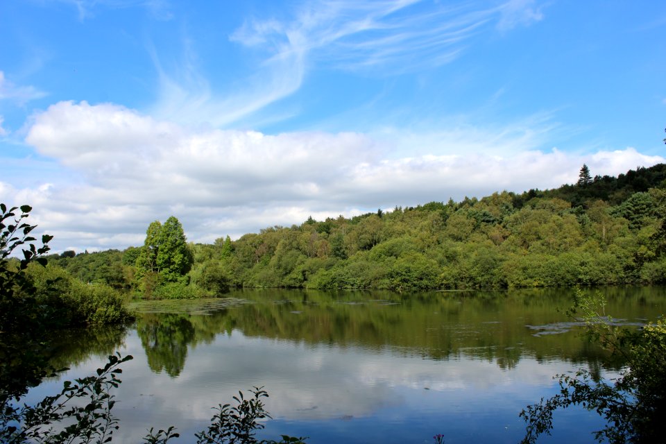 Golden Acre Park - Leeds