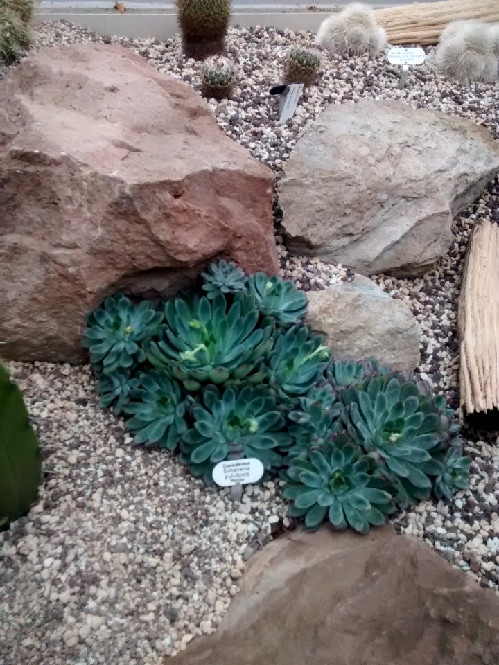 Botanical Garden