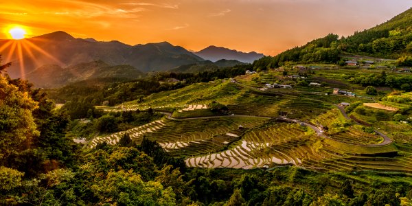 Terraced paddy fields, China photo