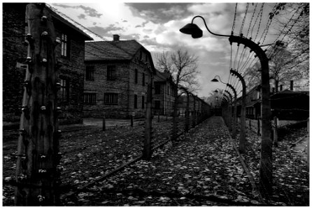 2016-11 Auschwitz- 09-20161111 photo
