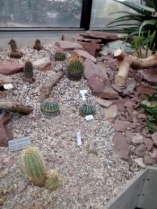 Botanical Garden