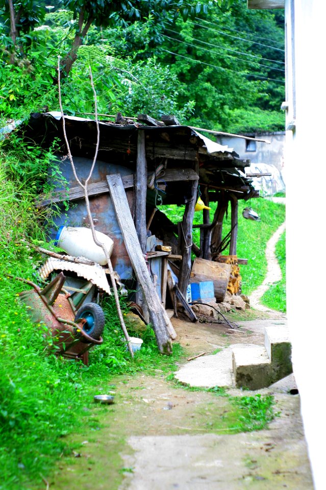 Başköy-Senoz-Çayeli-Rize