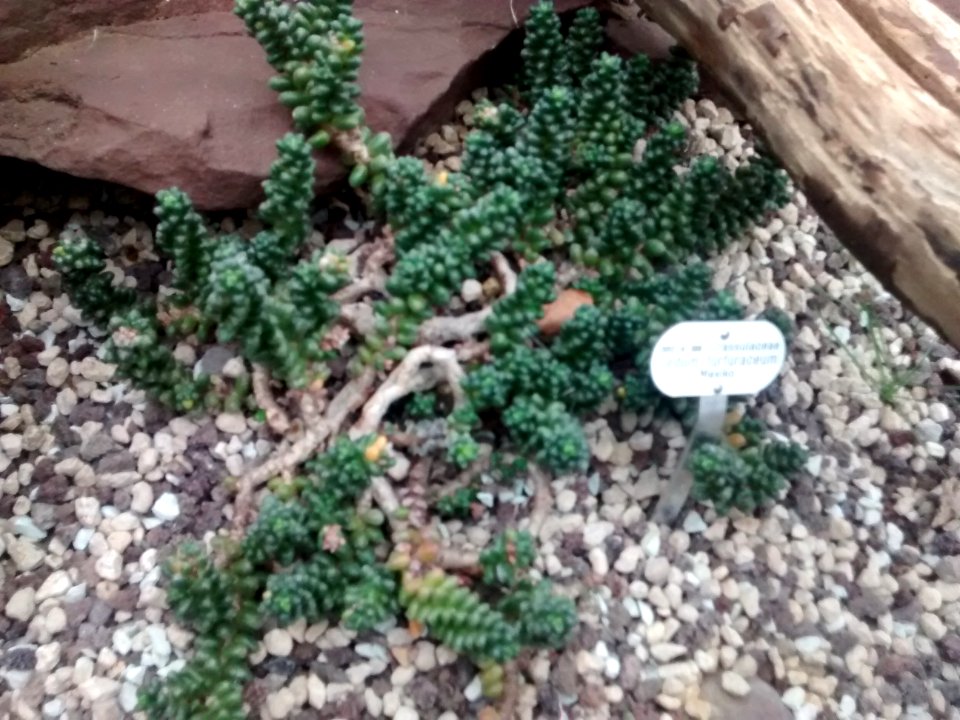 Botanical Garden