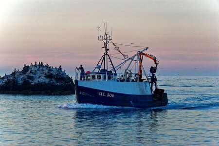 Harbor dusk catch