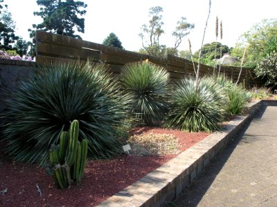 P9127706