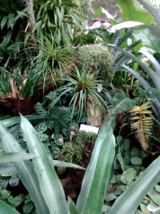 Botanical Garden