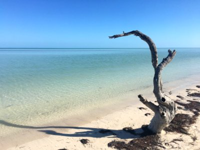 Holbox photo