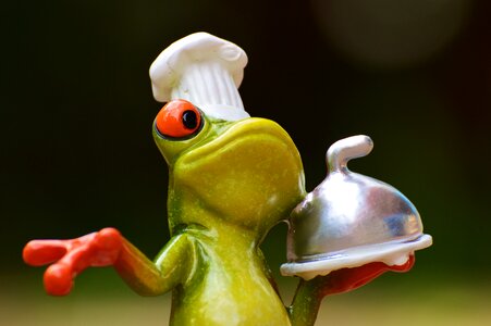 Kitchen gourmet food
