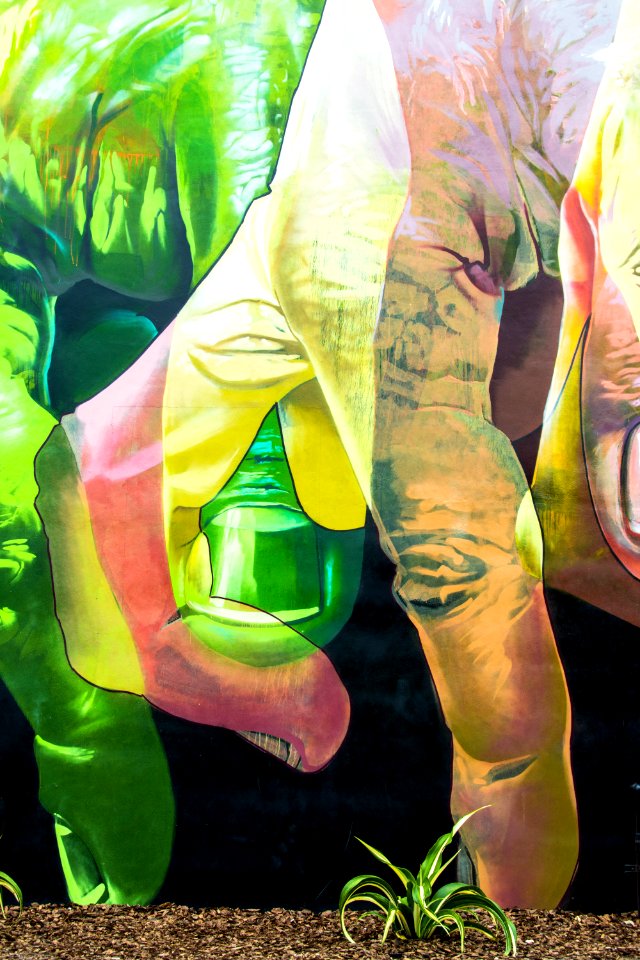 Wynwood Walls