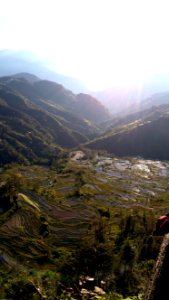 Terraced paddy fields, Asia