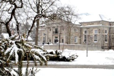 Winter - Creelman Hall