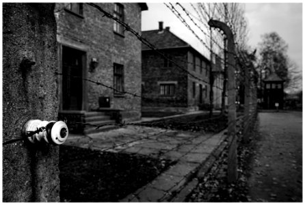 2016-11 Auschwitz- 04-20161111 photo