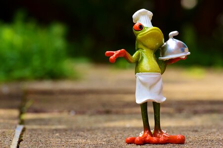 Kitchen gourmet food