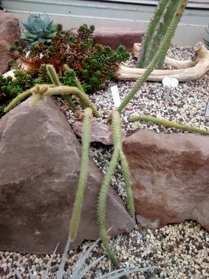 Botanical Garden