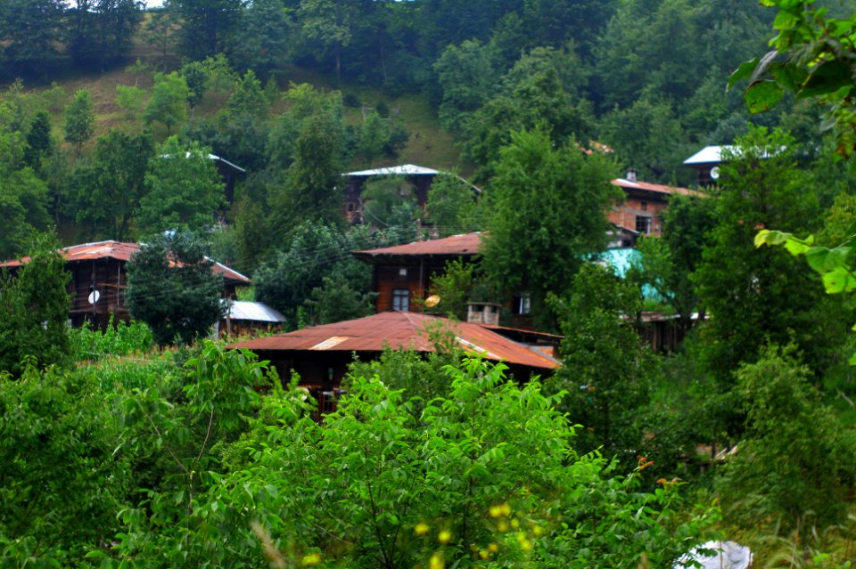 Başköy-Senoz-Çayeli-Rize