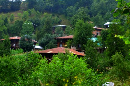 Başköy-Senoz-Çayeli-Rize